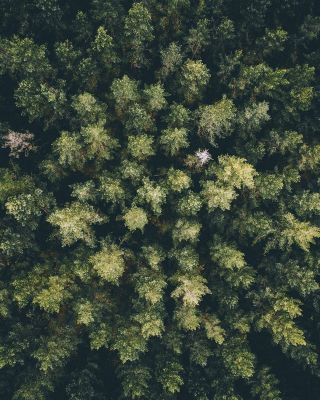 Telegram канал - WLPPR