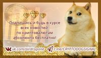 Криптовалютные сигналы от топ трейдеров - CRYPTODOGSIGNAL