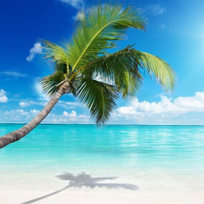 Бухта