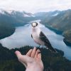 В поисках Годо