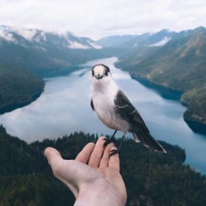 В поисках Годо