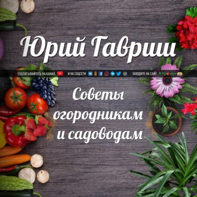 Советы огородникам и садоводам