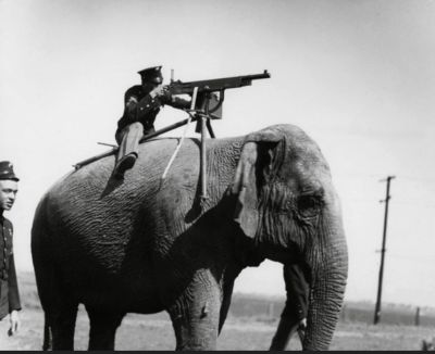 История в пикселях