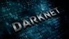 Telegram канал посвященный DarkNet