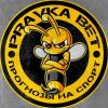 Pravka Bet прогнозы на спорт
