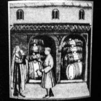 Nebbiolo666