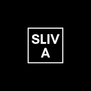 SLIV'A | АКТУАЛЬНЫЕ КЕЙСЫ БЕСПЛАТНО