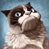 Telegram канал - М.П.К.