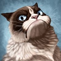 Telegram канал - М.П.К.