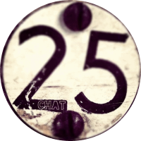 Чат 25+