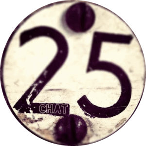 Чат 25+