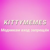 KittyMemes