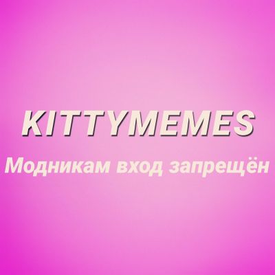 KittyMemes