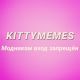 KittyMemes