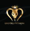 Ителлектуал