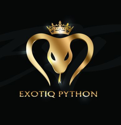 Ителлектуал