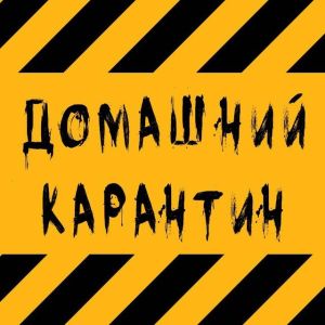 Telegram канал - Домашний Карантин
