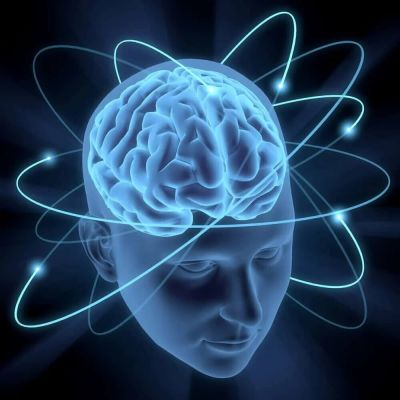 Cerebro