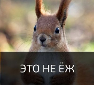 Telegramm канал -&amp;nbsp;&amp;nbsp;NEOFIT|ФАКТЫ