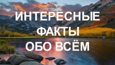 Умники и умницы