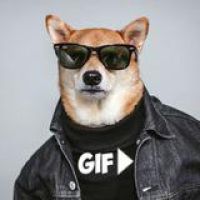 GIFCHAN