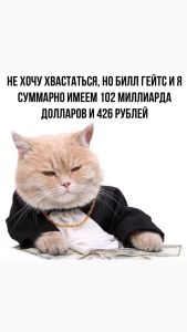 Telegram канал - КотоДом