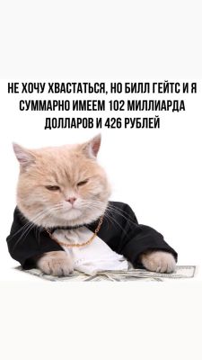 Telegram канал - КотоДом