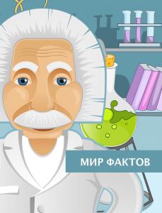 Мир Фактов