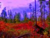 HDR Фото