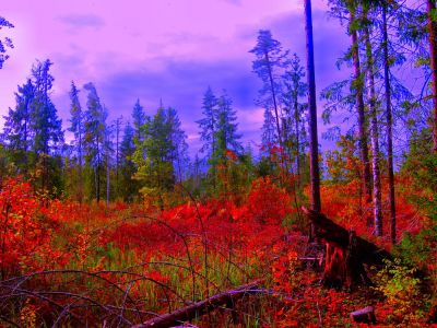 HDR Фото
