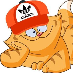 Telegram-канал Записки Смехалыча