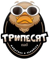 Паб Трипесятa