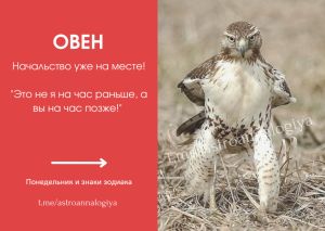 Telegram канал - Astroannalogiya